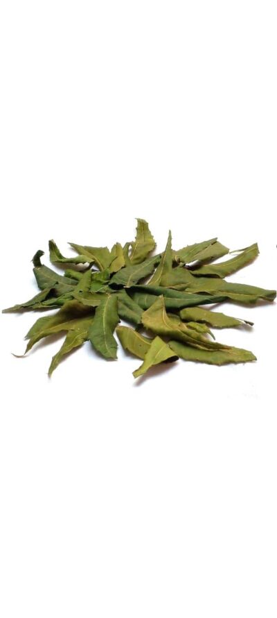 Neem Dry Leaves