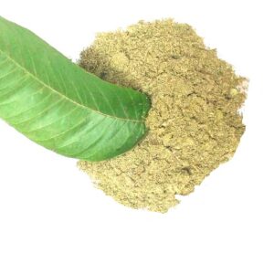 amrot ki patti ka powder