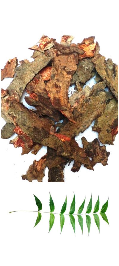 Li6 ®™ Neem Chhal - 100 Gram - Organic Neem Bark - Nimbaka Chaal - Neem ki Chhal