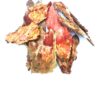 Li6 ®™ Neem Chhal - 100 Gram - Organic Neem Bark - Nimbaka Chaal - Neem ki Chhal - Image 3