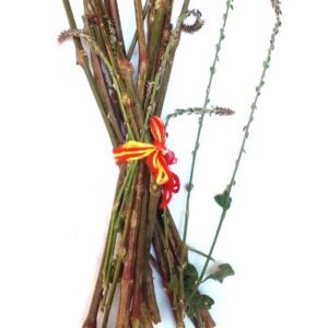 chirchita