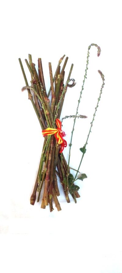 chirchita