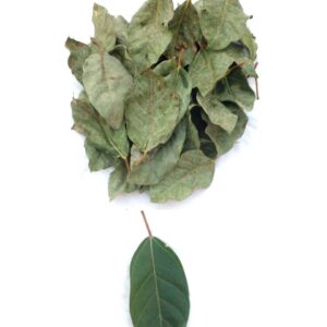 gular dry leaves