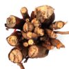 dry gular wood
