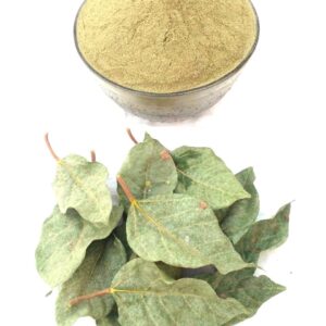 gular ke patte ka powder