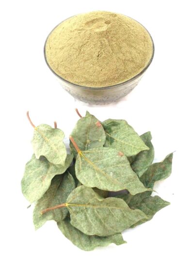gular ke patte ka powder