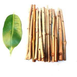 jamun datoon