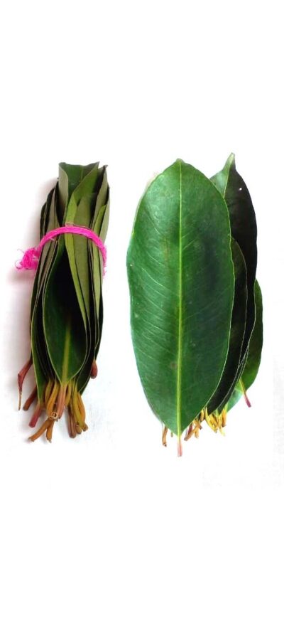 Li6 ®™ Jamun Leaves ( 100 Grams ) Jamun Ke Ped Ki Patti, Patte, Patta - Jamun Of Leaf