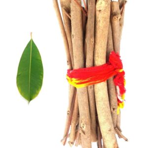 jamun ki lakdi