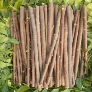 neem ka datun