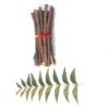 neem ki lakdi puja