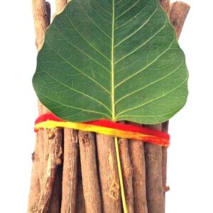 peepal wood