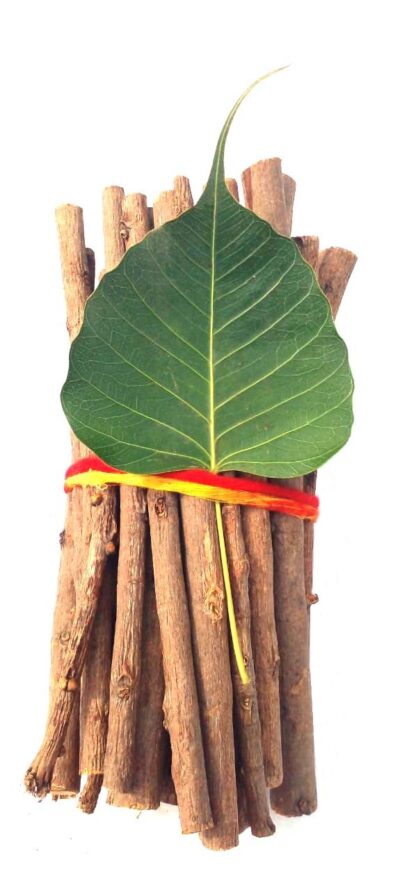 peepal wood