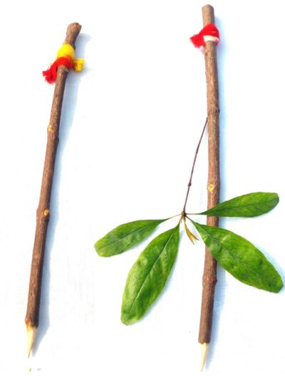 pomegranate stick for writing mantras
