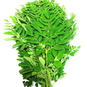 saijan ki patti