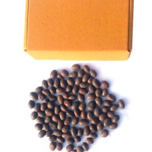 kamal gatta seed for puja and hawan