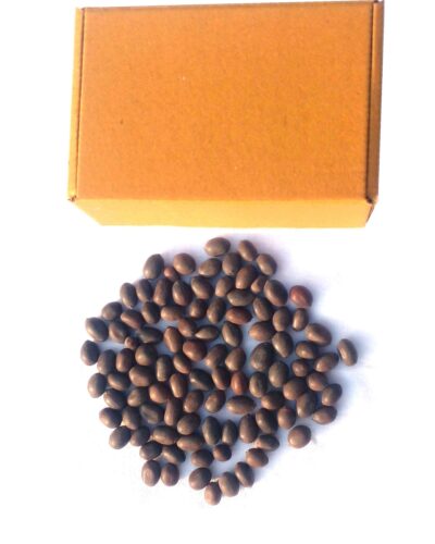 kamal gatta seed for puja and hawan
