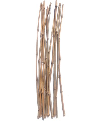 3 Feet Bamboo Sticks for Flower Pots and Teachers - Bans Ka Danda